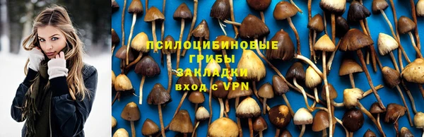 PSILOCYBIN Верея